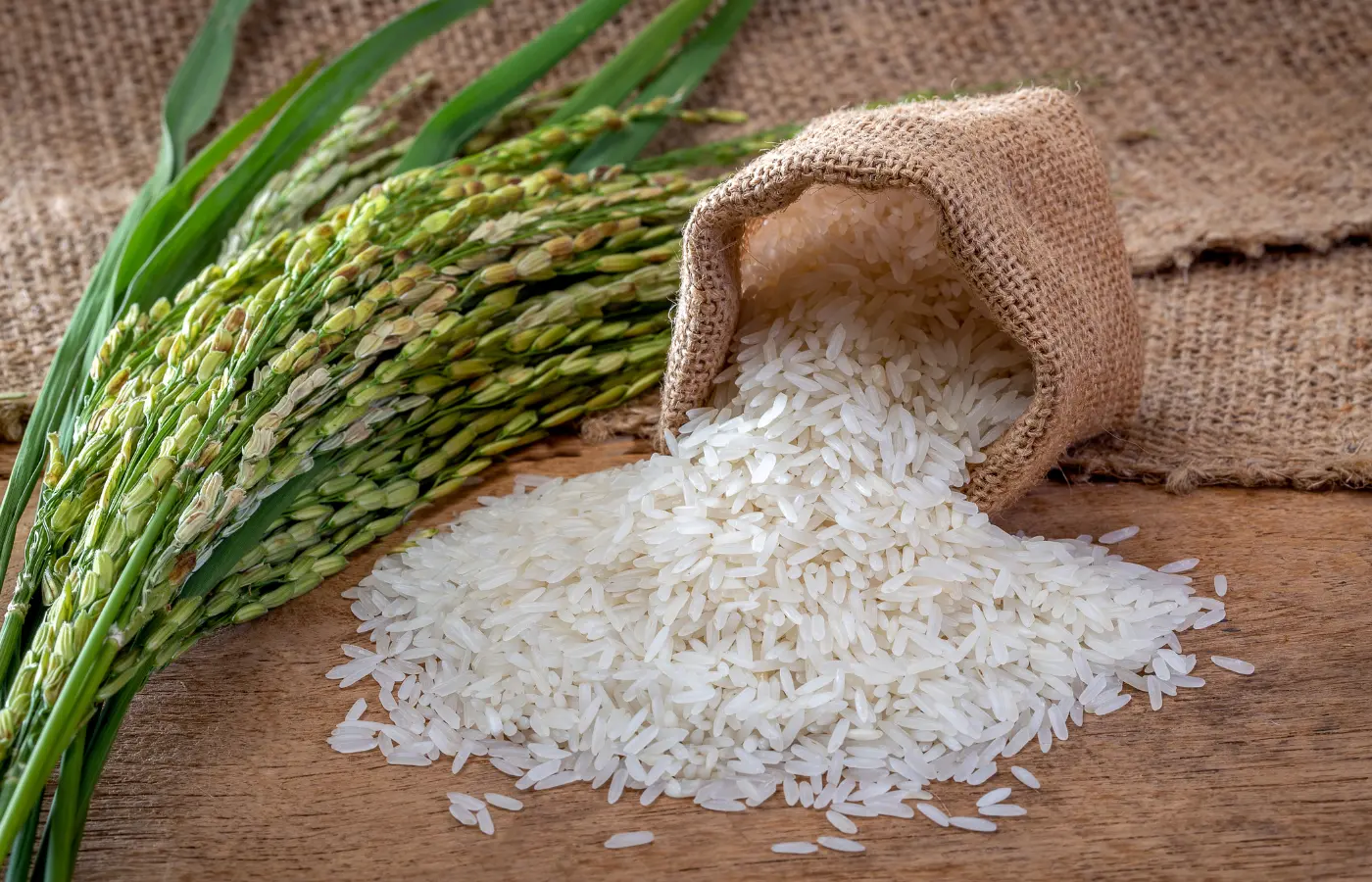 Rice Fields by Wellness Basket