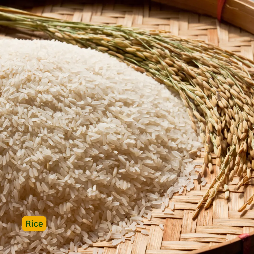 Rice